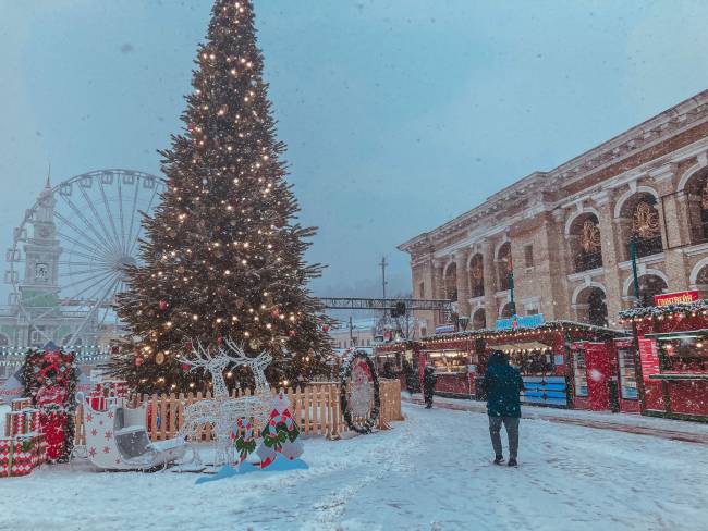 Власти Барнаула планируют отказаться от установки главной новогодней ёлки