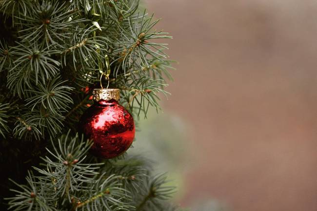 Жители Свердловской области имеют возможность срубить новогоднюю ель за две недели до праздника