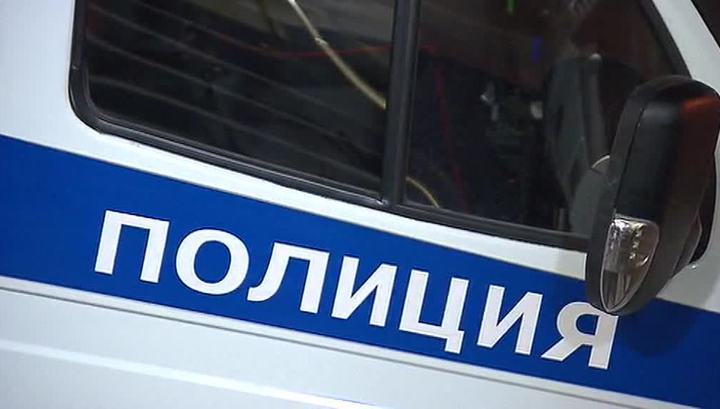 Полицией города Заречный разыскиваются две пропавшие девочки
